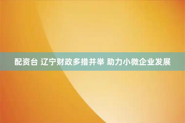 配资台 辽宁财政多措并举 助力小微企业发展
